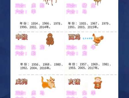 功一美二是什么生肖 揭秘最受欢迎的生肖组合