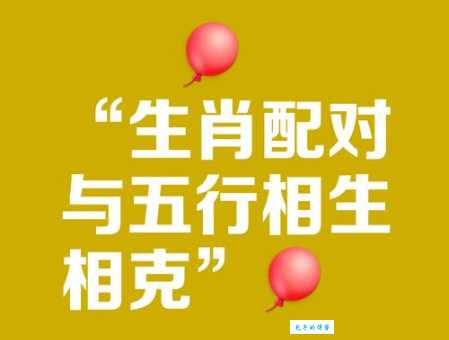 功一美二是什么生肖 揭秘最受欢迎的生肖组合