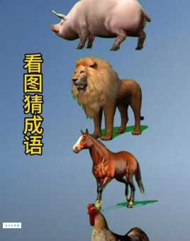 鹿死谁手打一个生肖答案揭晓原来是它