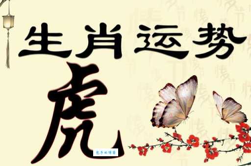 日居夜出是什么生肖 夜间出没的生肖有哪些