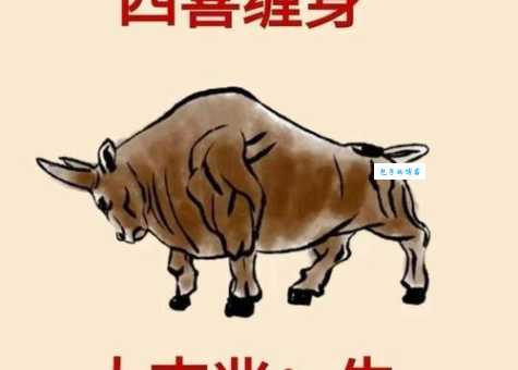 豪言空话是什么生肖十二生肖谁最爱吹牛