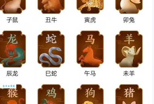 左家娇女指的是哪个生肖 生肖性格大解析