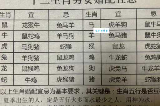 挑针打眼是什么生肖 揭秘十二生肖中的神秘传说