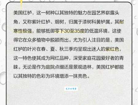 美国红栌的叶子为什么变红 漆树科黄栌属变色原因