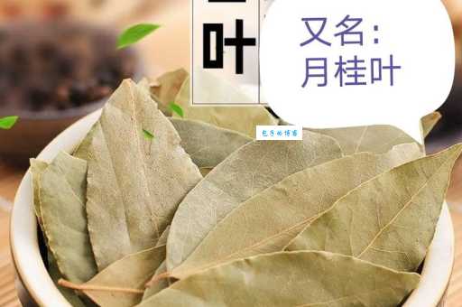 香叶的用途有哪些 樟科月桂属植物香叶的妙用