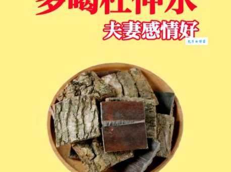 杜仲怎么吃最有效 杜仲科植物食用方法与禁忌
