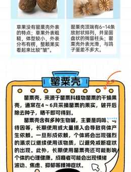 罂粟的历史与文化 罂粟科植物背后的故事