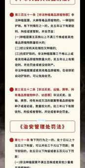 罂粟的历史与文化 罂粟科植物背后的故事