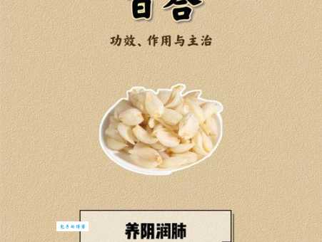 百合的功效与作用及食用禁忌