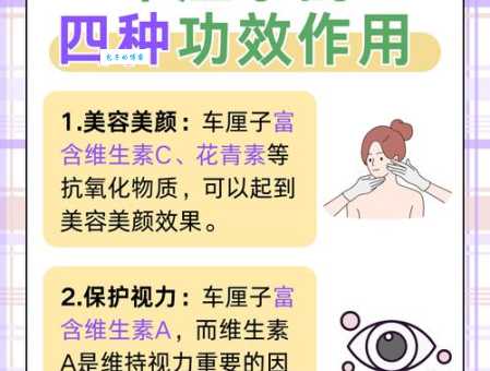 樱桃的营养价值 蔷薇科李属植物的健康益处