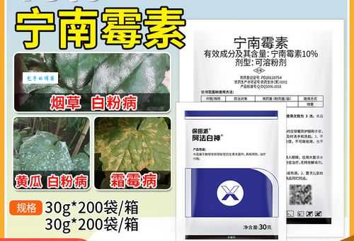 胞嘧啶核苷酸与DNA的关系 它如何影响遗传