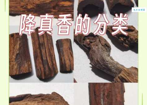 降香的功效与作用 这种豆科植物竟有这么多好处