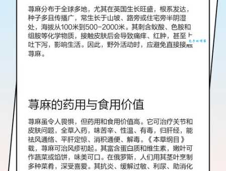 荨麻的副作用 使用荨麻需要注意什么