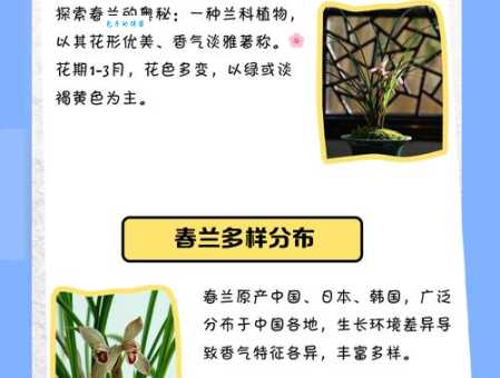 春兰的品种有哪些 春兰的特点和观赏价值