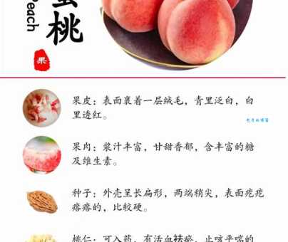桃子的功效与作用这种水果对身体好处多