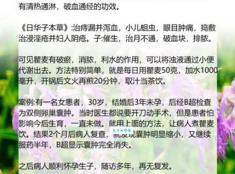 瞿麦的功效与作用石竹科植物的药用价值