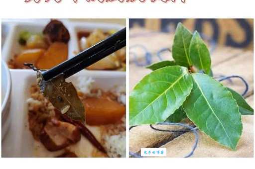 香叶在家常菜中的妙用 樟科月桂属植物美食必备
