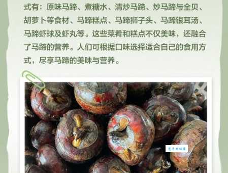 荸荠的营养价值 这种白色果实竟富含这么多营养