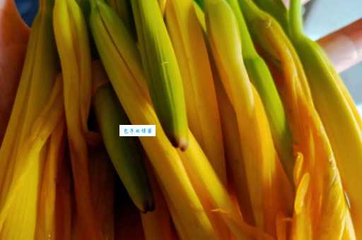 忘忧草是什么菜这种野菜的吃法太特别了