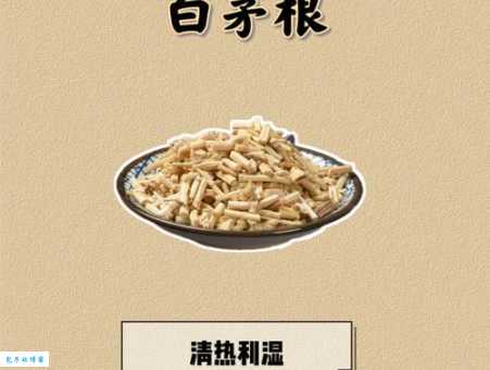 白茅是什么植物 禾本科白茅的特点和用途介绍