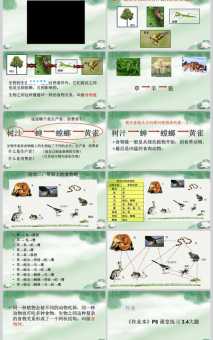 食物链的意思与作用 为什么它这么重要