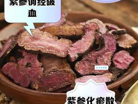 紫参是什么植物 茜草科茜草属的药用植物介绍