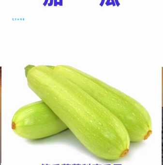 笋瓜是什么植物 南瓜属的笋瓜你了解多少