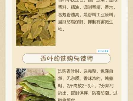 香叶在烹饪中的作用 樟科月桂属香叶的使用禁忌