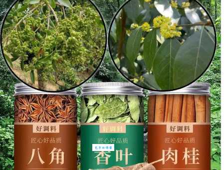 香叶在烹饪中的作用 樟科月桂属香叶的使用禁忌