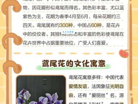 蝴蝶花怎么养 鸢尾科鸢尾属植物养护技巧分享