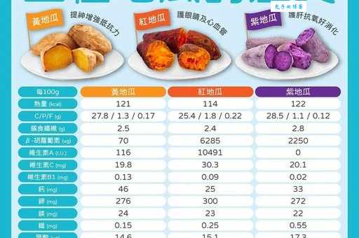 地瓜是什么揭秘这种常见食物的营养与功效