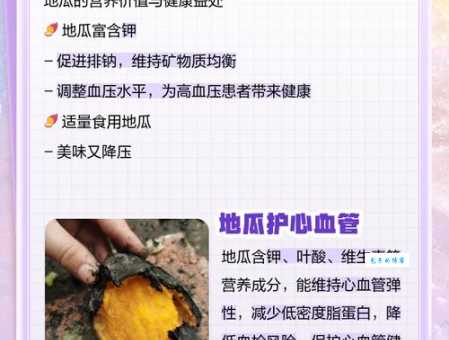 地瓜是什么揭秘这种常见食物的营养与功效