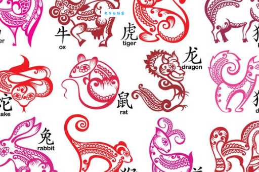 细大不逾是什么生肖 揭秘十二生肖中的特殊存在