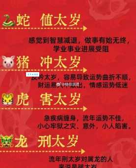 举世无双是什么生肖 原来这个属相最厉害