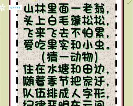 安营扎寨打一个动物生肖猜猜看是什么动物