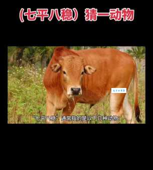 安营扎寨打一个动物生肖猜猜看是什么动物