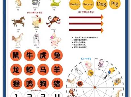 盘成一团来休息的生肖有什么特别习性