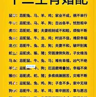 恶贯满盈是什么生肖 揭秘最可能对应的属相