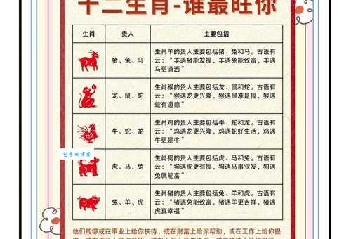 光恶不善是什么生肖 十二生肖中谁最需要注意