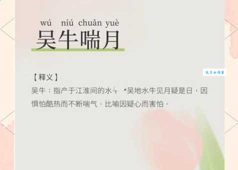 吴牛喘月是什么生肖 这个生肖夏天最难受