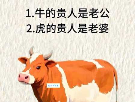 薄养厚葬比喻什么生肖 老一辈常说的生肖秘密
