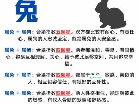 白兔赤乌是什么生肖 看看你的生肖是否在其中