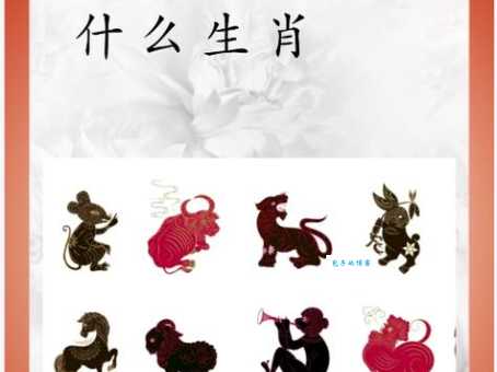 鱼目混珠猜一正确生肖原来指的是这个动物