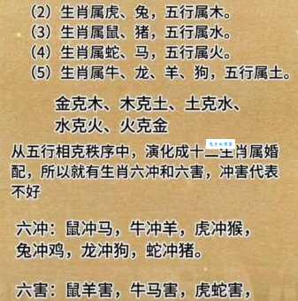全局在胸是什么生肖 这个生肖天生有远见