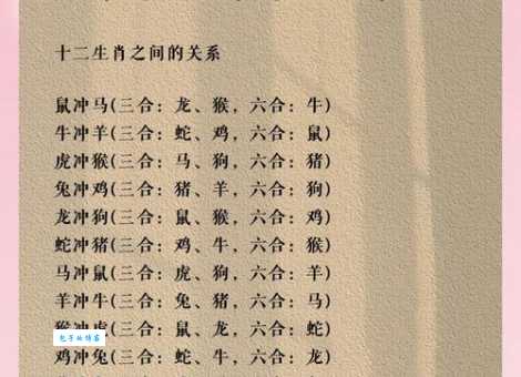 同流合污是什么生肖 这些生肖最容易人云亦云