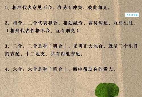 同流合污是什么生肖 这些生肖最容易人云亦云