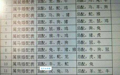 白首无成是什么生肖 你的生肖是否在失败名单上