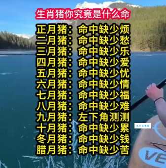 家道中落打一生肖快来看看你是不是这个生肖
