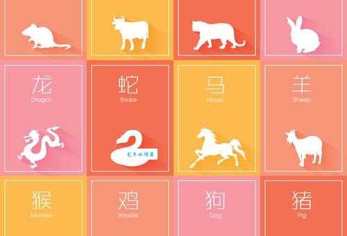 命根子猜生肖谜底竟然是这个动物