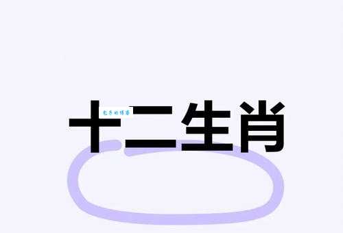 命根子猜生肖谜底竟然是这个动物